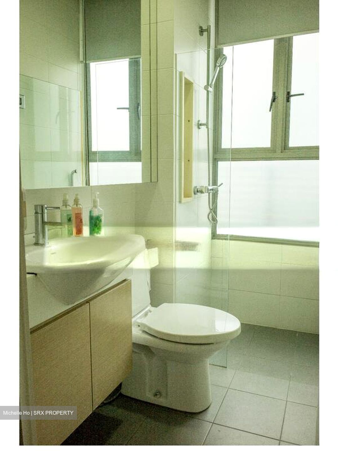 Suffolk Premier (D11), Apartment #531363171